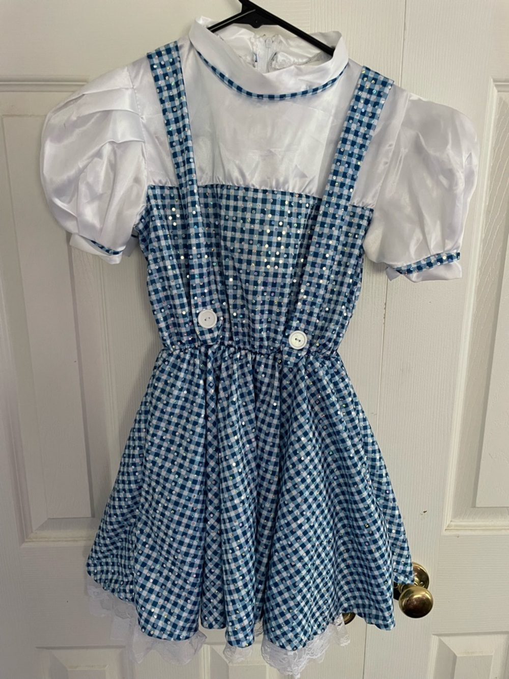 Blue Gingham Kids Theater Costume Dress with White Blouse
